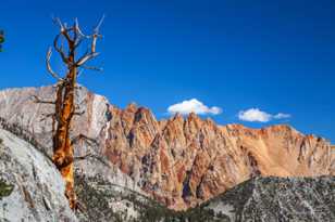 Piute Crags-7797.jpg